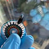 Small image 4