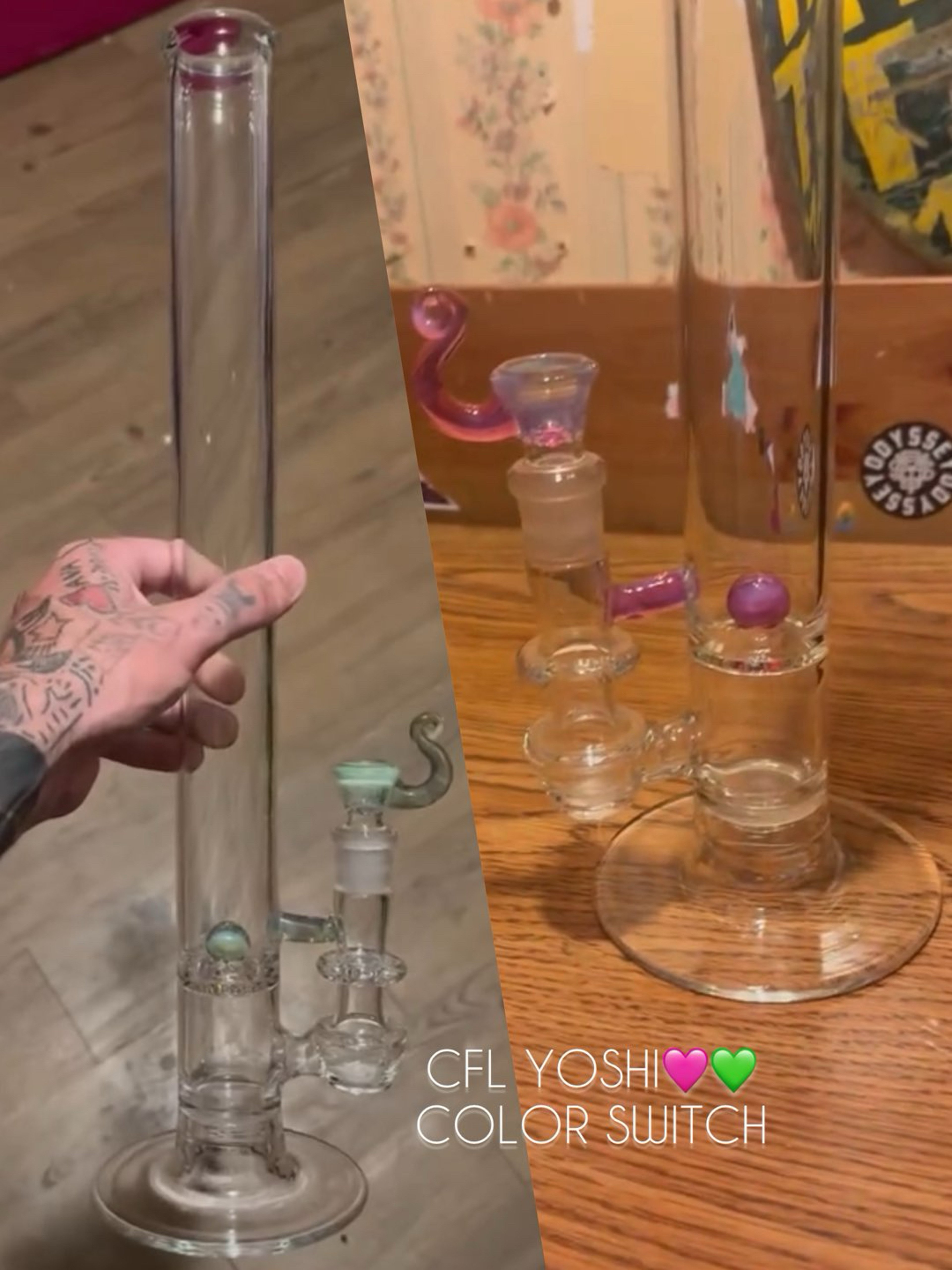 Preview pic of Discobox CFL Yoshi (Green to Pink) Set