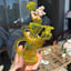 Small image 7
