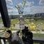 Small image 6