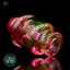 Small image 6