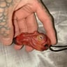 Small image 2
