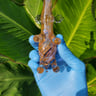 Small image 3