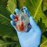 Small image 2