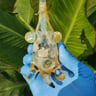 Small image 3