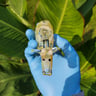 Small image 2