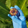Small image 5