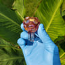 Small image 4
