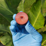 Small image 1