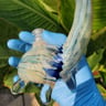 Small image 4