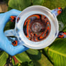 Small image 3