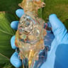 Small image 4