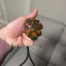 Small image 0
