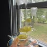Small image 5