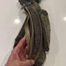 Small image 5