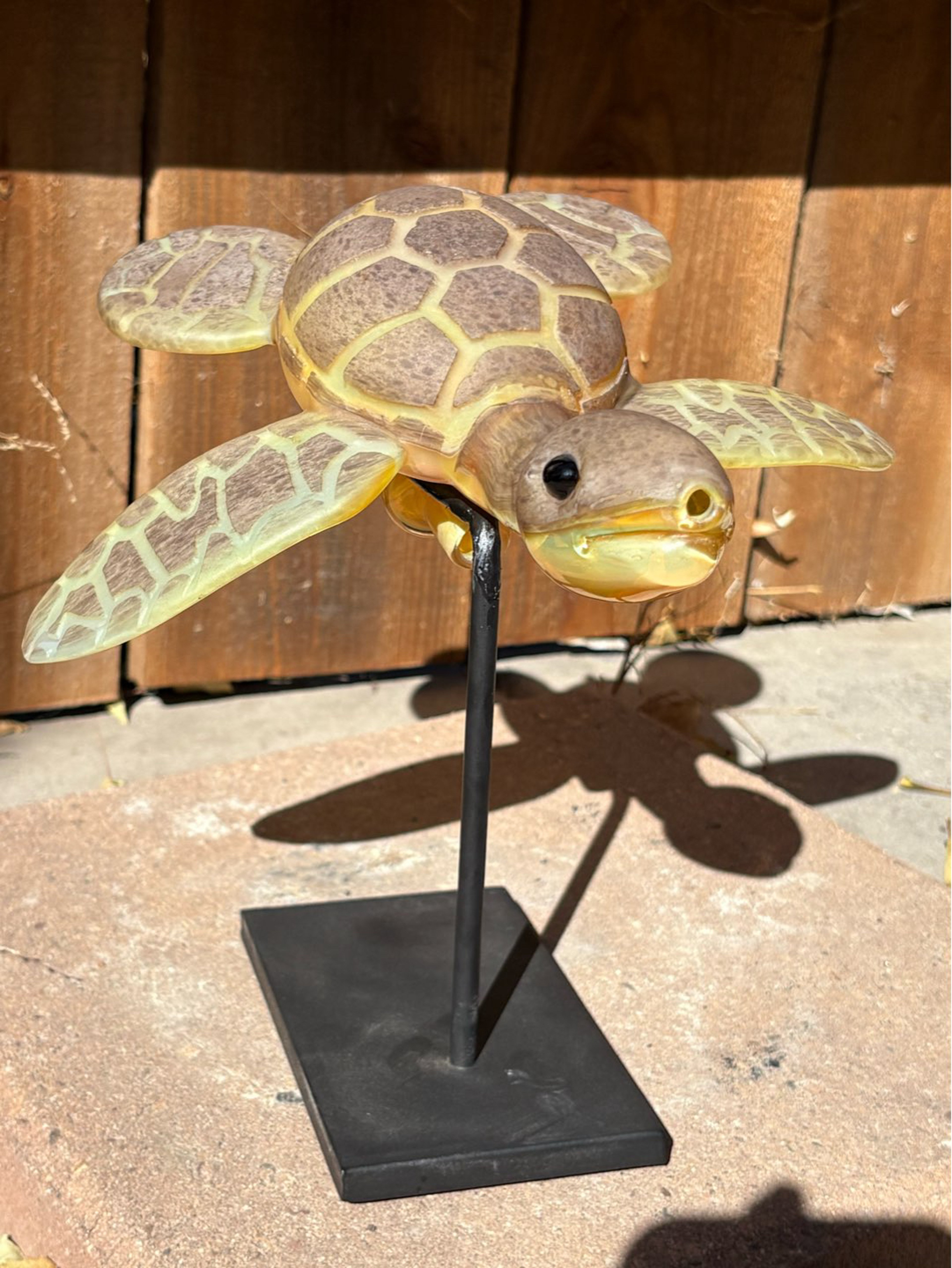 Preview pic of Addison Hanna Sea Turtle 2023