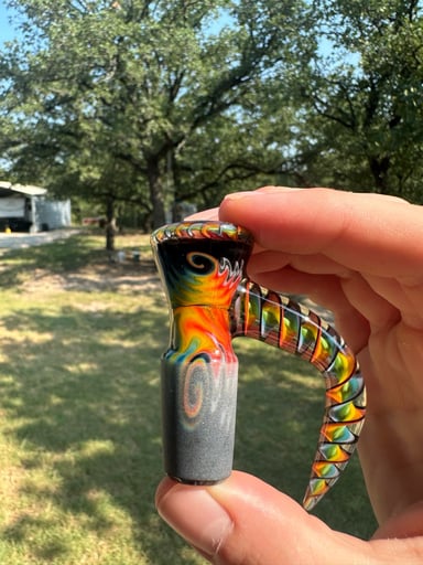 Preview pic of FW klauskii rainbow wigwag slide