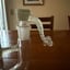Small image 5