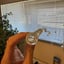 Small image 8