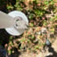 Small image 6