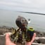 Small image 8