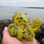 Small image 9