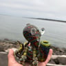 Small image 5