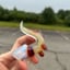 Small image 3
