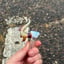 Small image 7