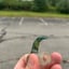 Small image 3