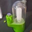 Small image 6