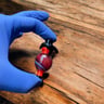 Small image 5