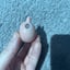 Small image 4