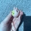 Small image 6
