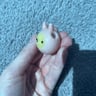Small image 5