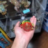Small image 1