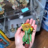 Small image 3