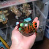 Small image 4