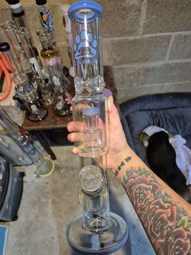 Preview pic of Calibear