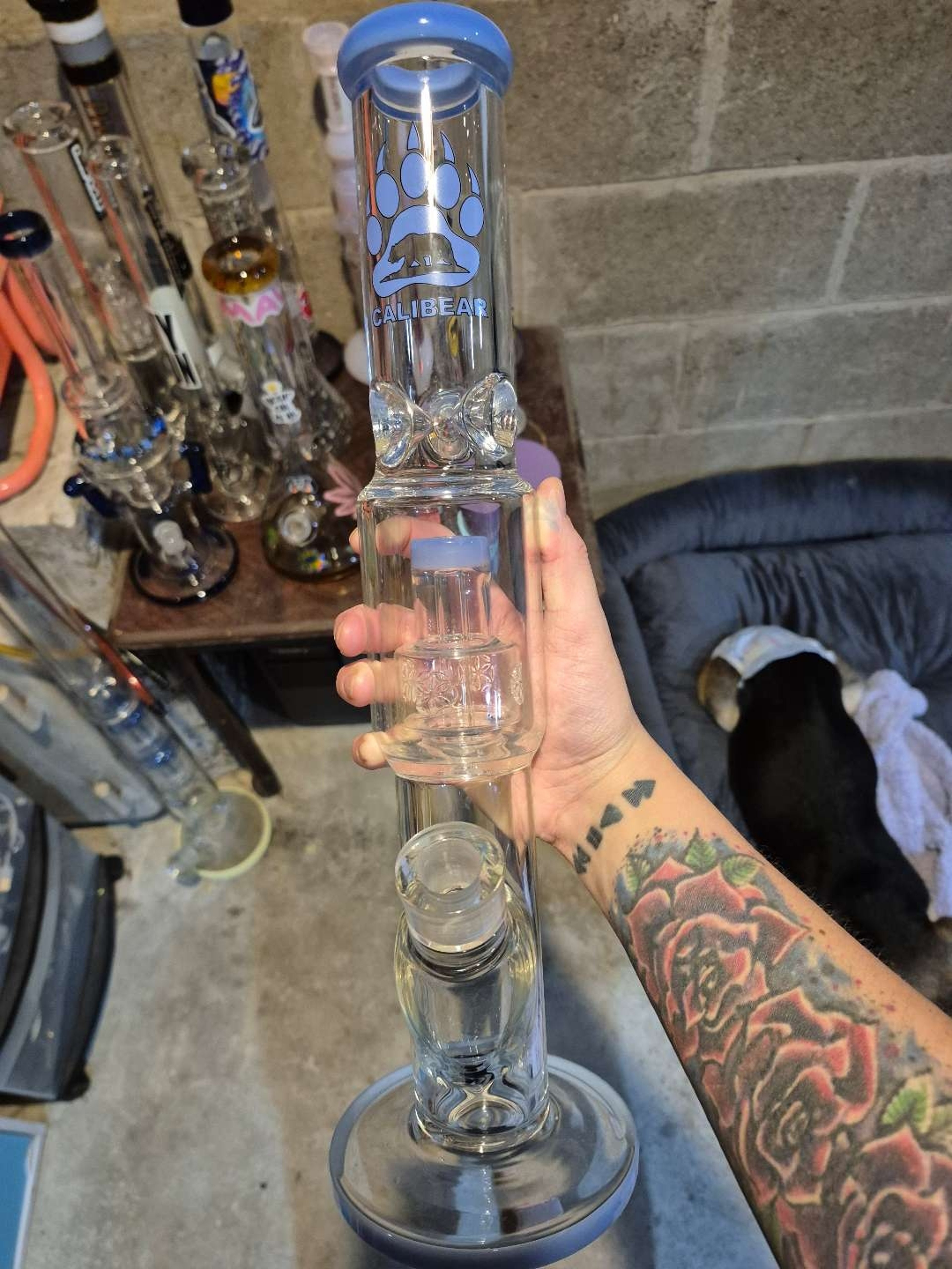 Calibear image 0