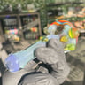 Small image 2