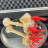 Small image 0