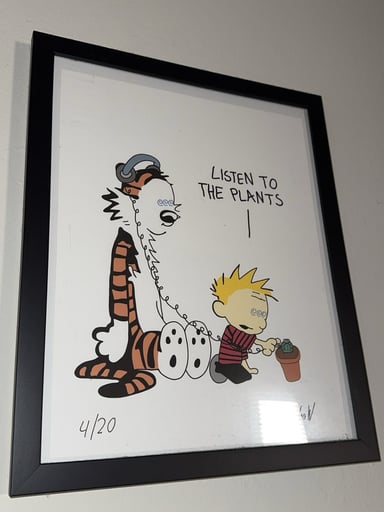 Preview pic of Wookerson Calvin & Hobbes listen to the plants