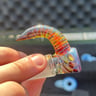 Small image 1