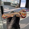 Small image 1