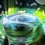 Small image 6