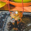 Small image 5