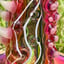 Small image 7