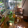 Small image 4
