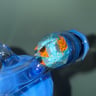 Small image 4